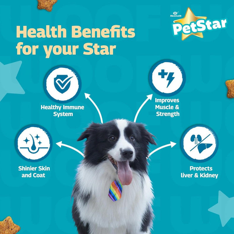 PetStar Adult Dog Chicken n Wheat 1kg