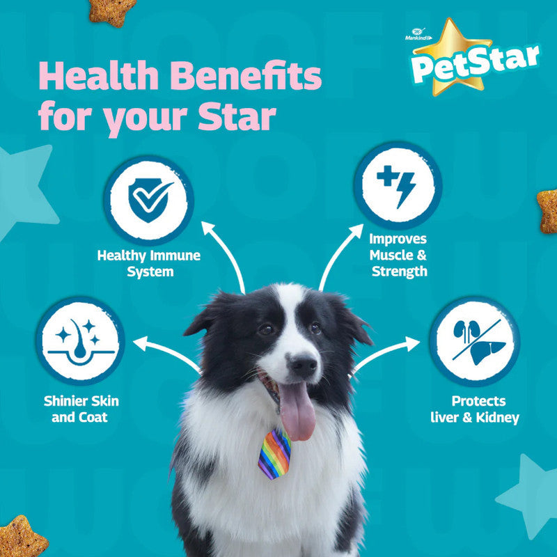 PetStar Adult Dog Meat n Wheat 3kg