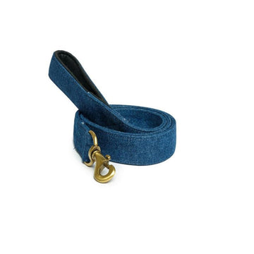 PetWale Blue Denim Leash with Padded Handle (Large)
