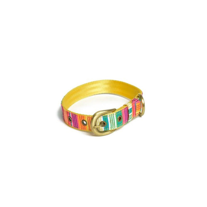 PetWale Colourful Stripes Belt Collar (Medium)
