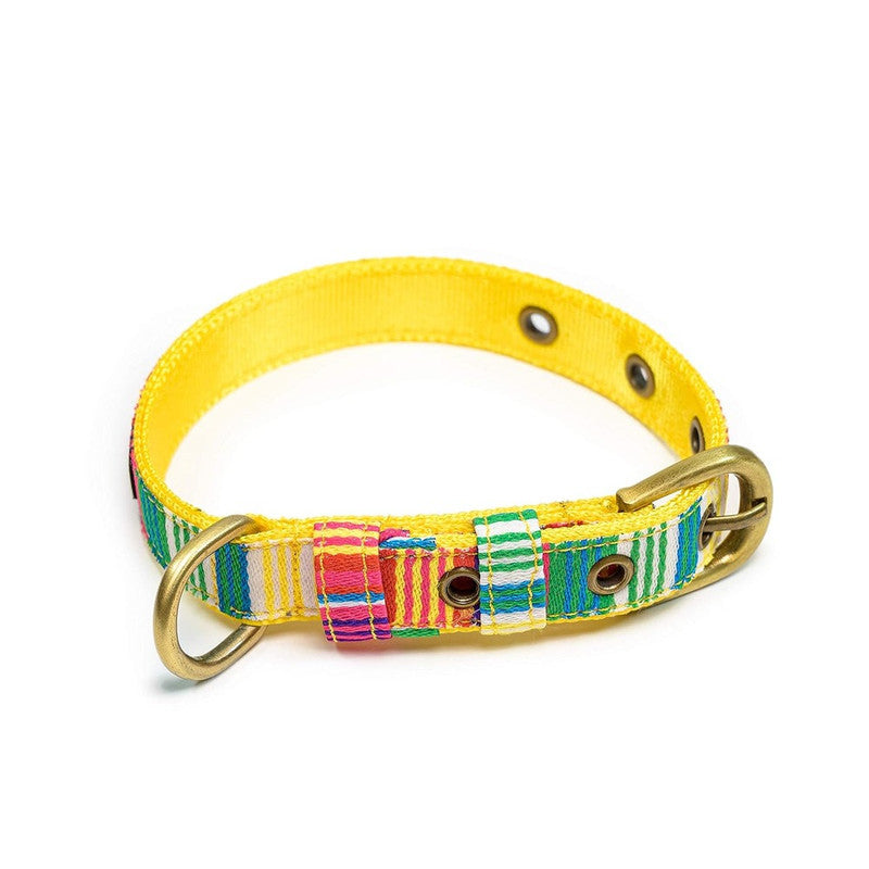 PetWale Colourful Stripes Belt Collar (Small)