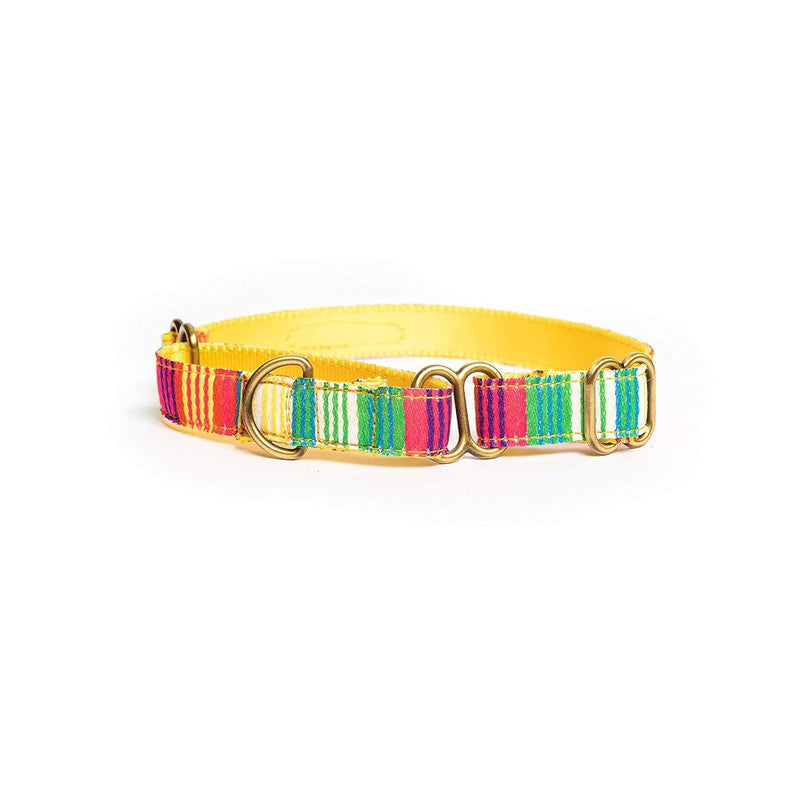 PetWale Colourful Stripes Martingale Collar (Large)