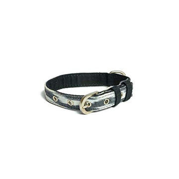 PetWale Ikat Belt Collar (Large)