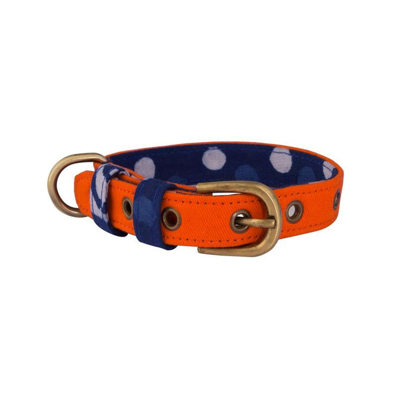 PetWale Orange Belt Collar (Small)