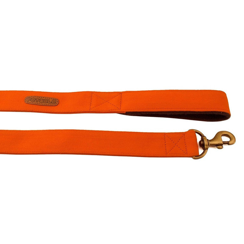 PetWale Orange Leash S