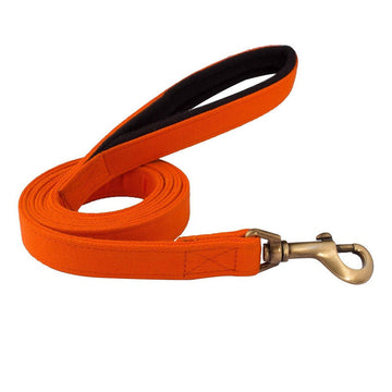 PetWale Orange Leash with Padded Handle (Small)