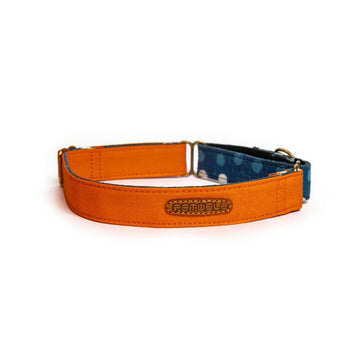 PetWale Orange Martingale Collar (Small)