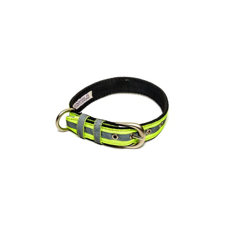 PetWale Reflective Green Belt Collar (Medium)