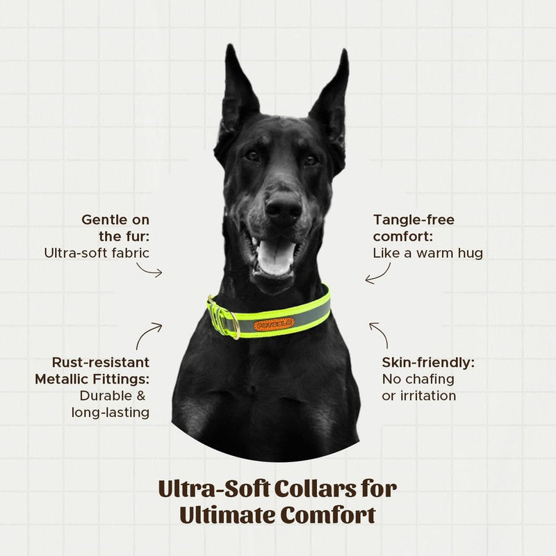 PetWale Reflective Green Belt Collar (Medium)