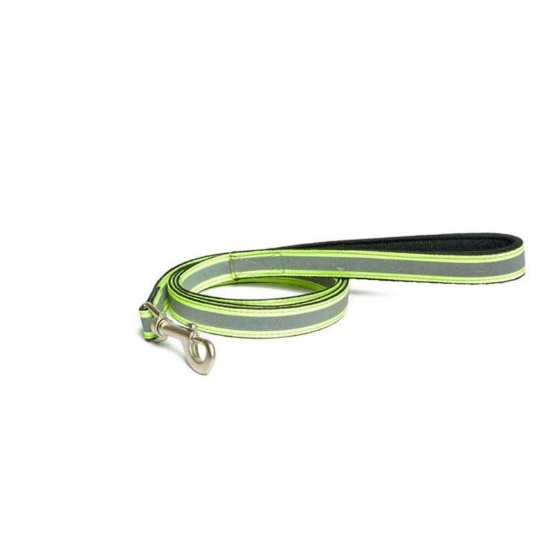 PetWale Reflective Green Leash with Padded Handle (Medium)