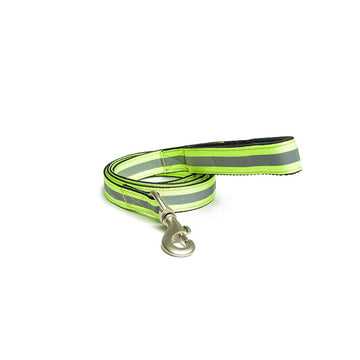 PetWale Reflective Green Leash with Padded Handle (Medium)