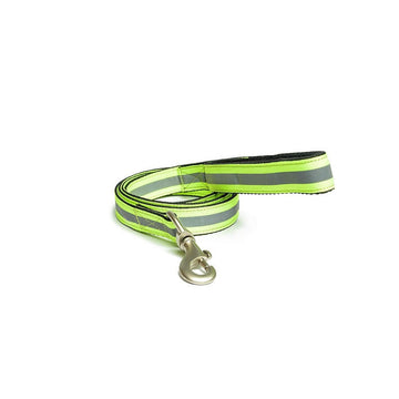 PetWale Reflective Green Leash with Padded Handle (Medium)