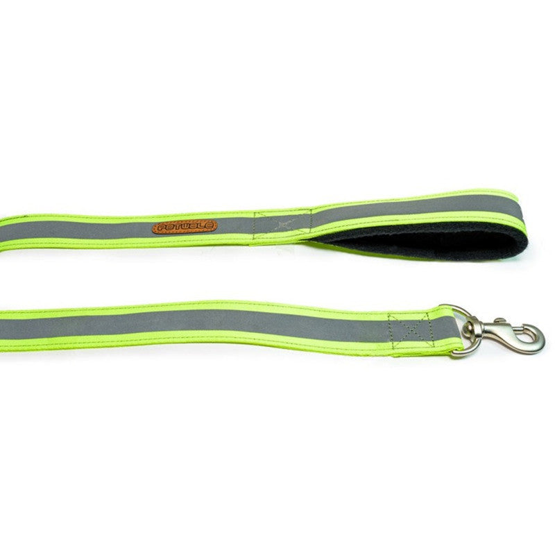 PetWale Reflective Green Leash with Padded Handle (Large)