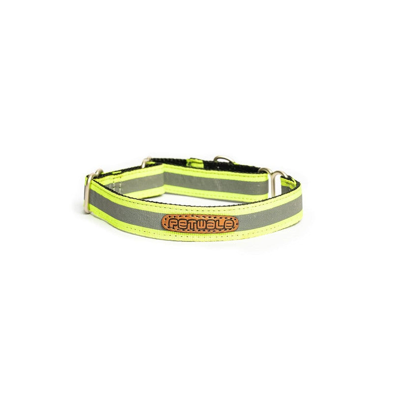 PetWale Reflective Green Martingale Collar (Small)