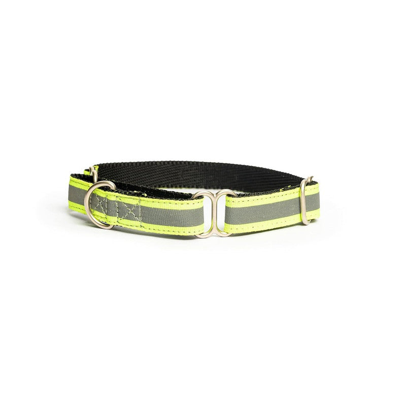 PetWale Reflective Green Martingale Collar (Medium)
