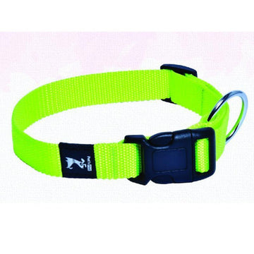 Pet's Pot Classic Collar L - Kiwi