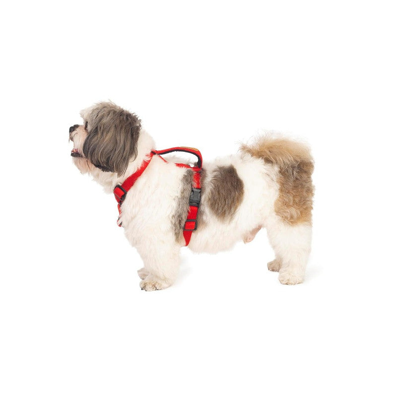 Petwale Red H-Harness (Small)