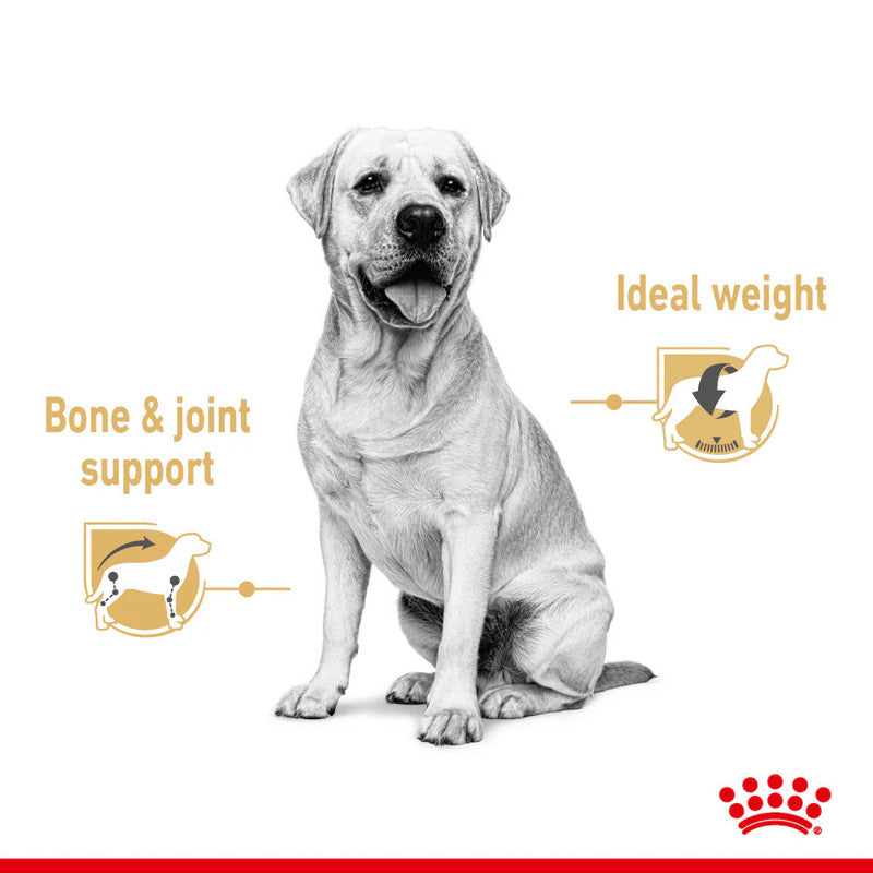 Royal Canin Labrador Adult Gravy 140g