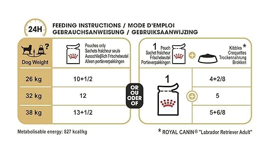 Royal Canin Labrador Adult Gravy 140g ( Multi-Pack )