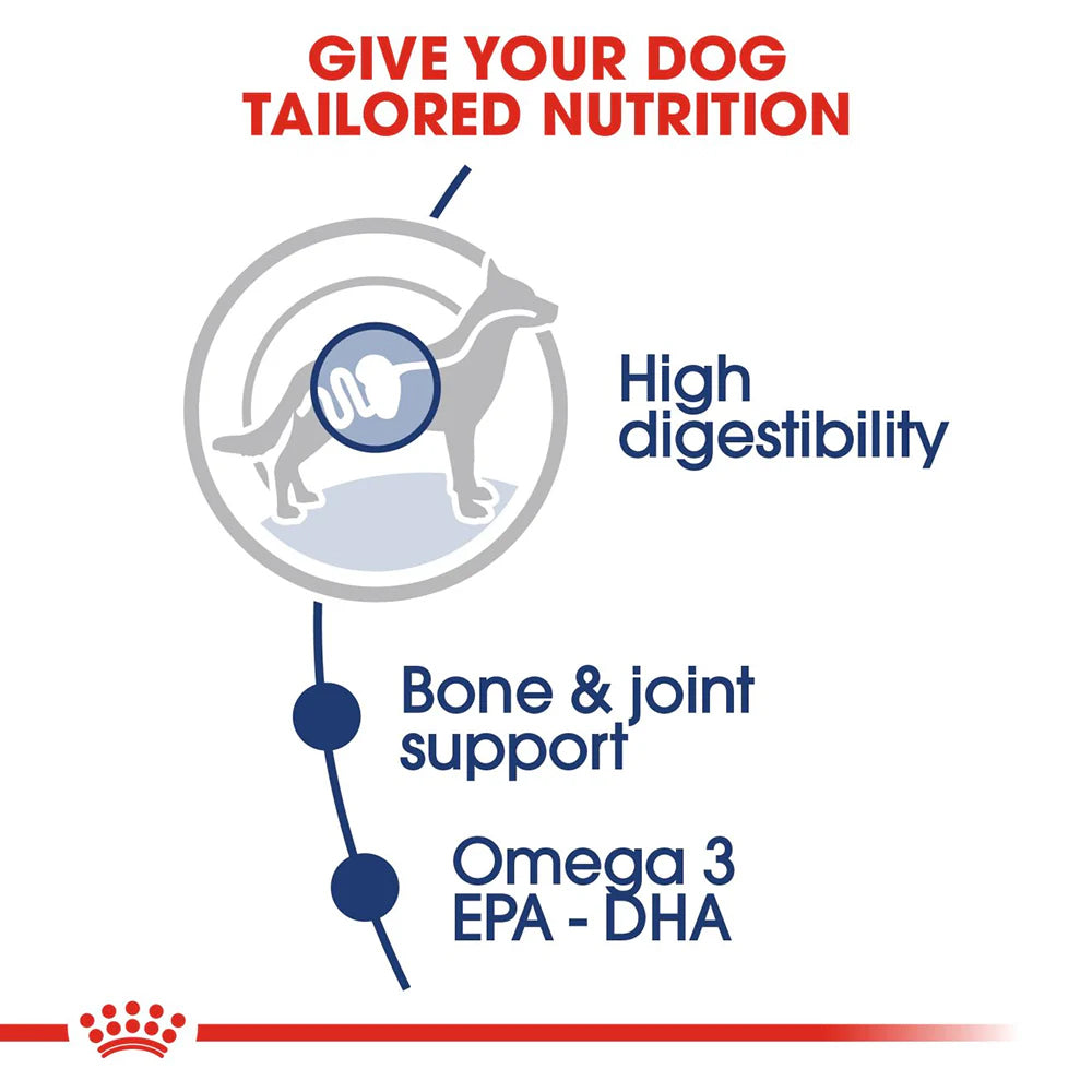 Royal Canin Maxi Adult Dog Wet Food 140g