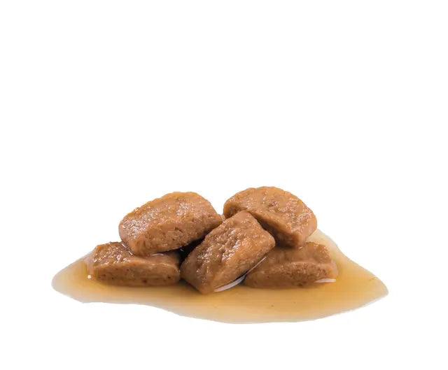 Royal Canin Maxi Adult Dog Wet Food 140g ( Multi-Pack )