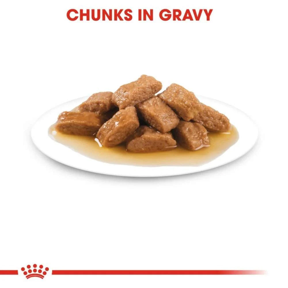 Royal Canin Medium Adult Gravy Salsa 140g