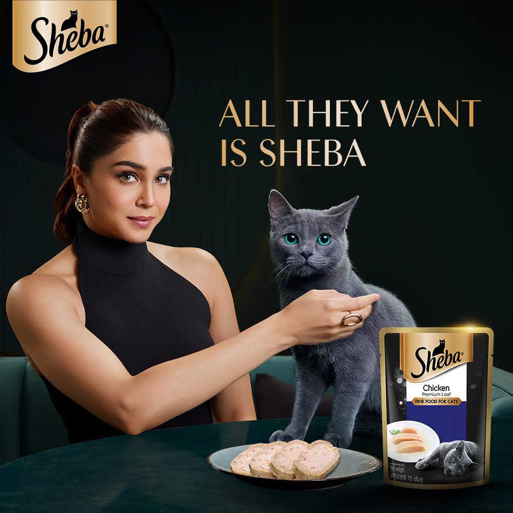 Sheba Premium Adult Chicken Loaf  70g ( Multi-Pack )