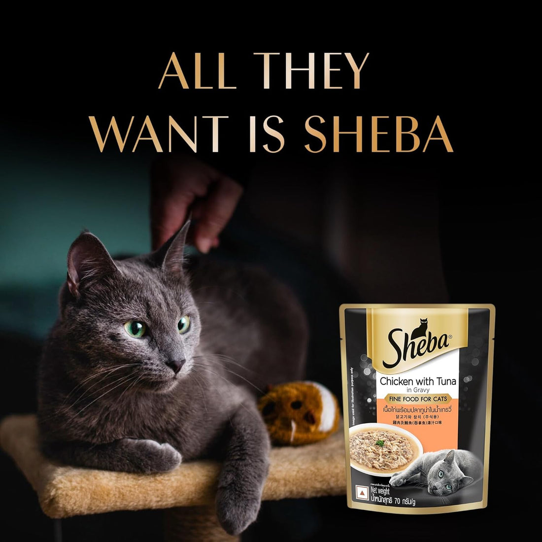 Sheba Premium Chicken with Tuna in Gravy 70g ( Multi-Pack )