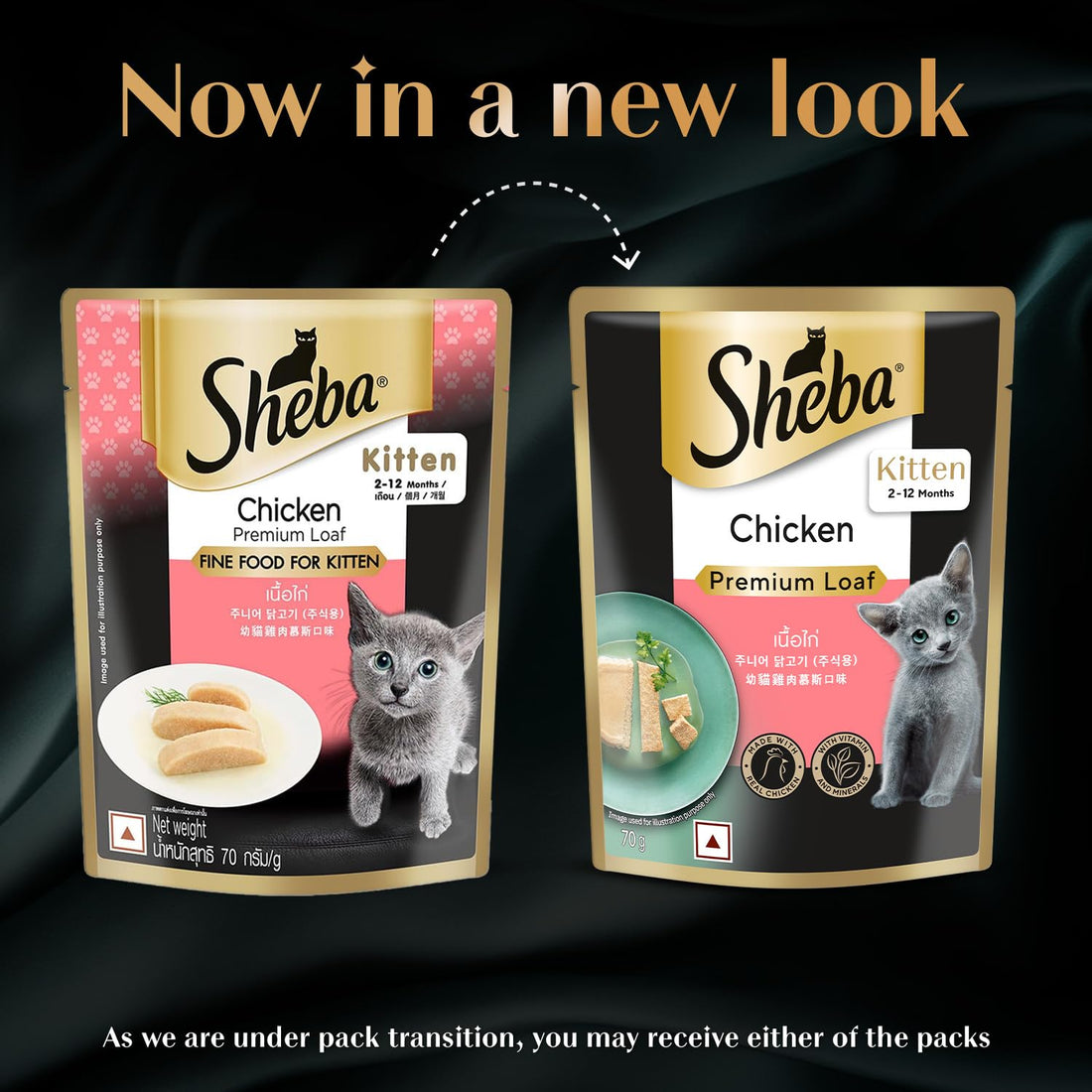 Sheba Chicken Premium Kitten 70g