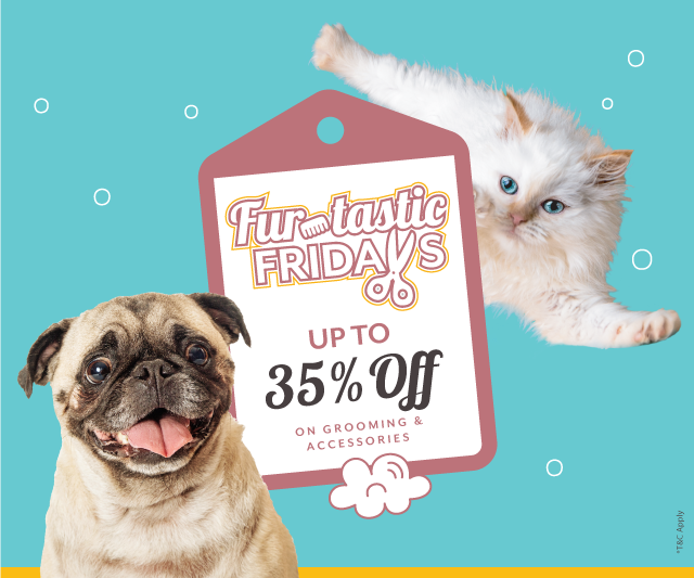 slider image slider_item_AmFTbm