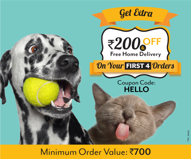 slider image slider_item_d4PDyq