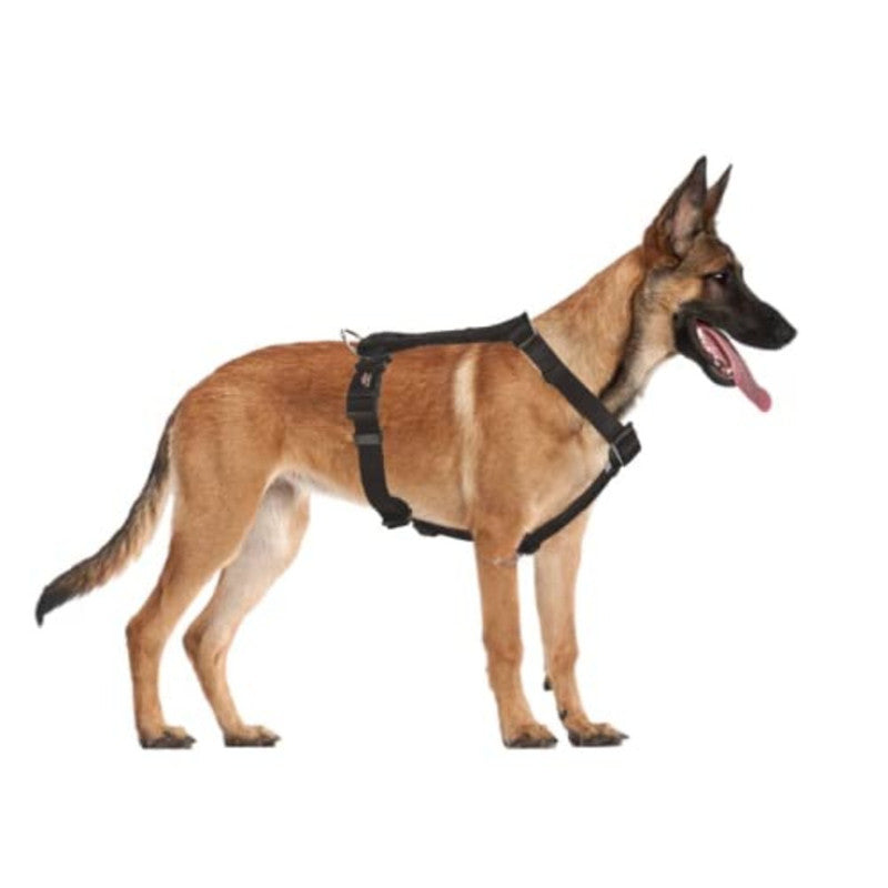 Trixie Classic H-Harness M-L Black