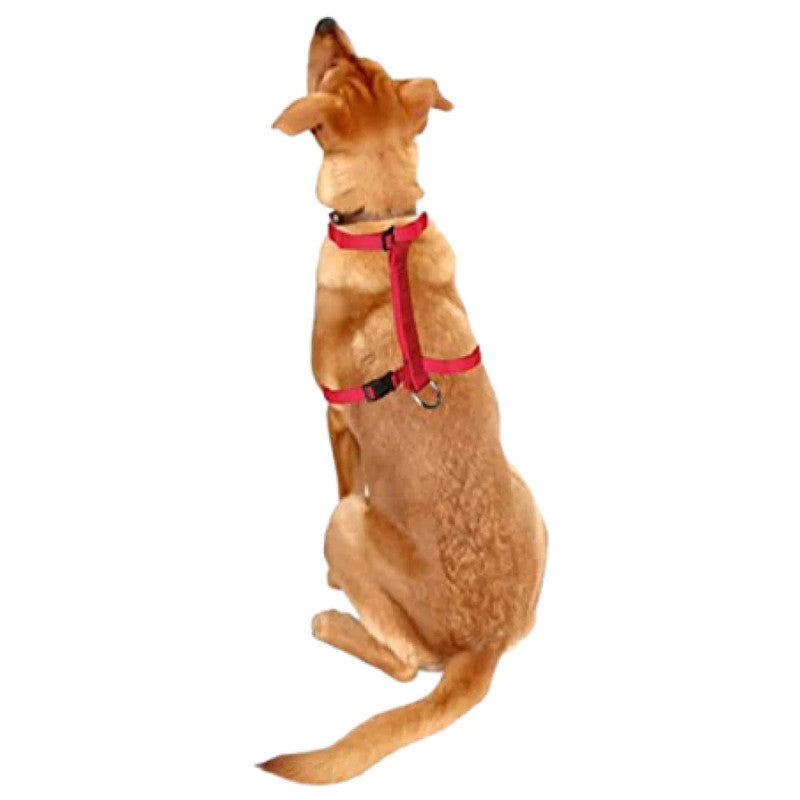 Trixie Classic H-Harness L-XL Red