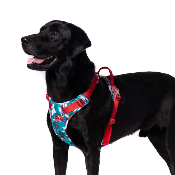 Truelove Special Edition Harness Camouflage Blue-L
