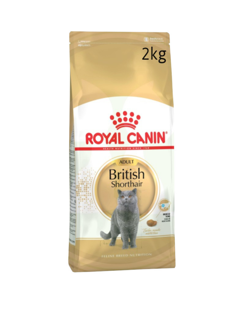 Royal Canin British Shorthair Adult 2kg