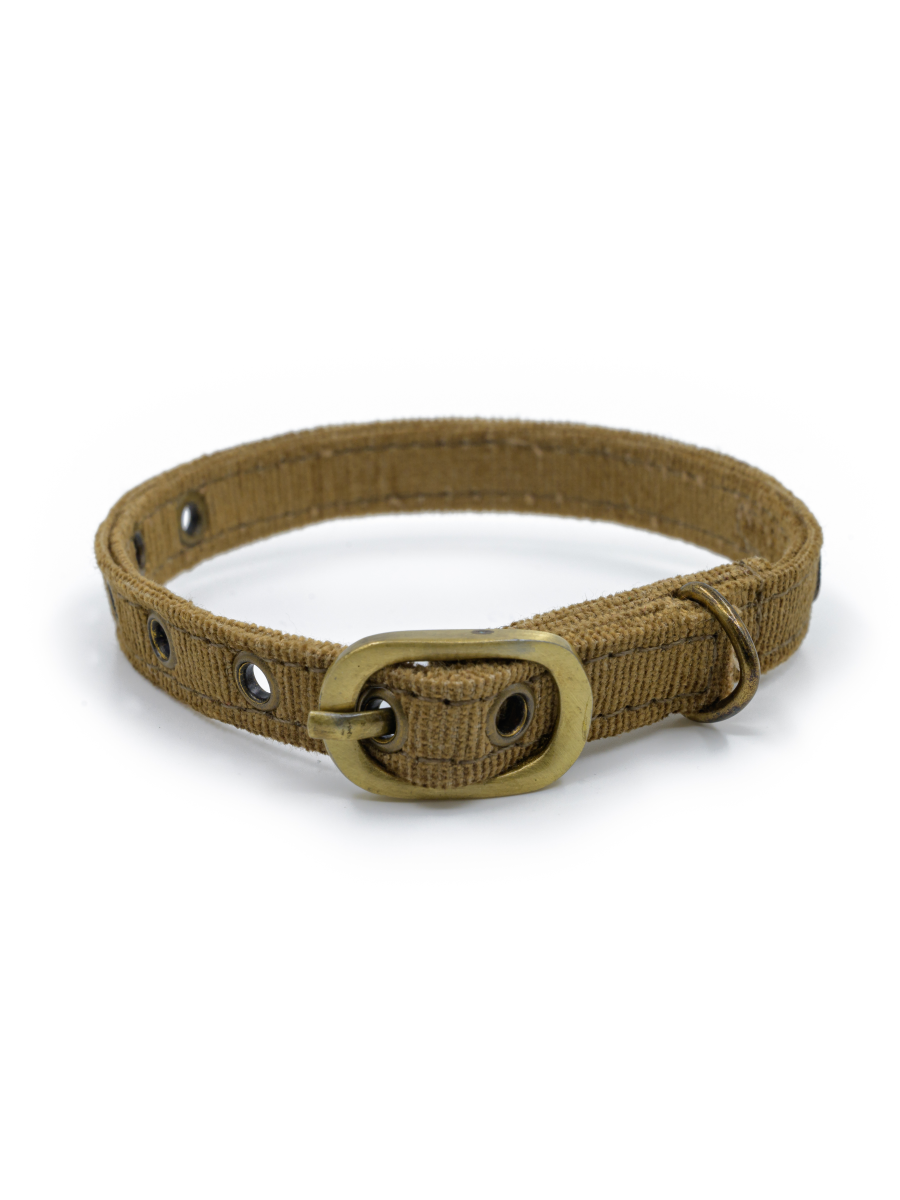 PetWale Cat Collar - Bronze