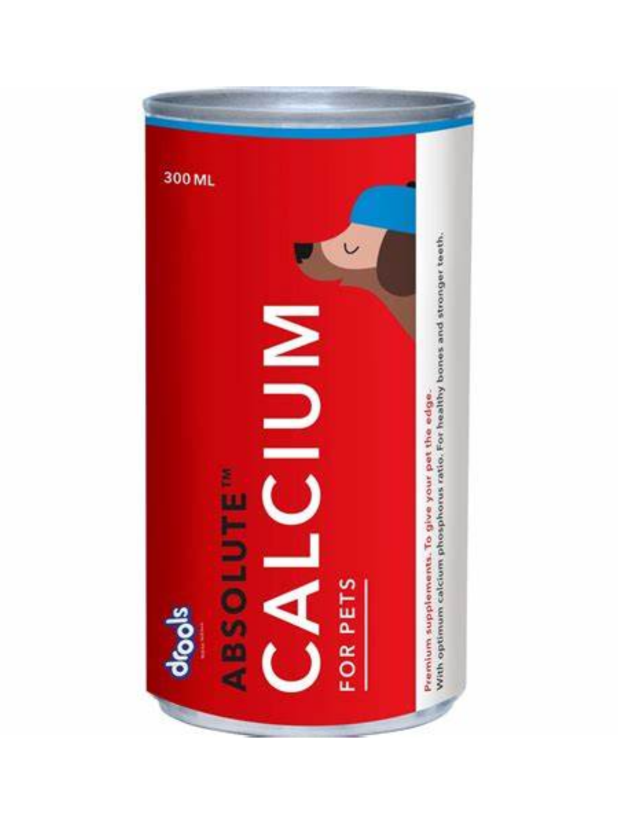 Drools Absolute Calcium Syrup 300ml