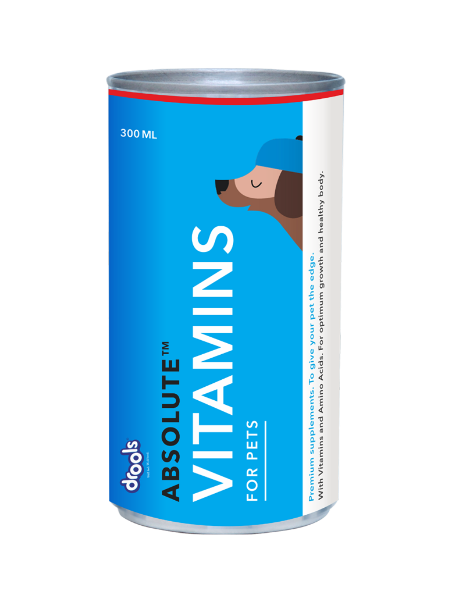 Drools Absolute Vitamins Syrup 300ml