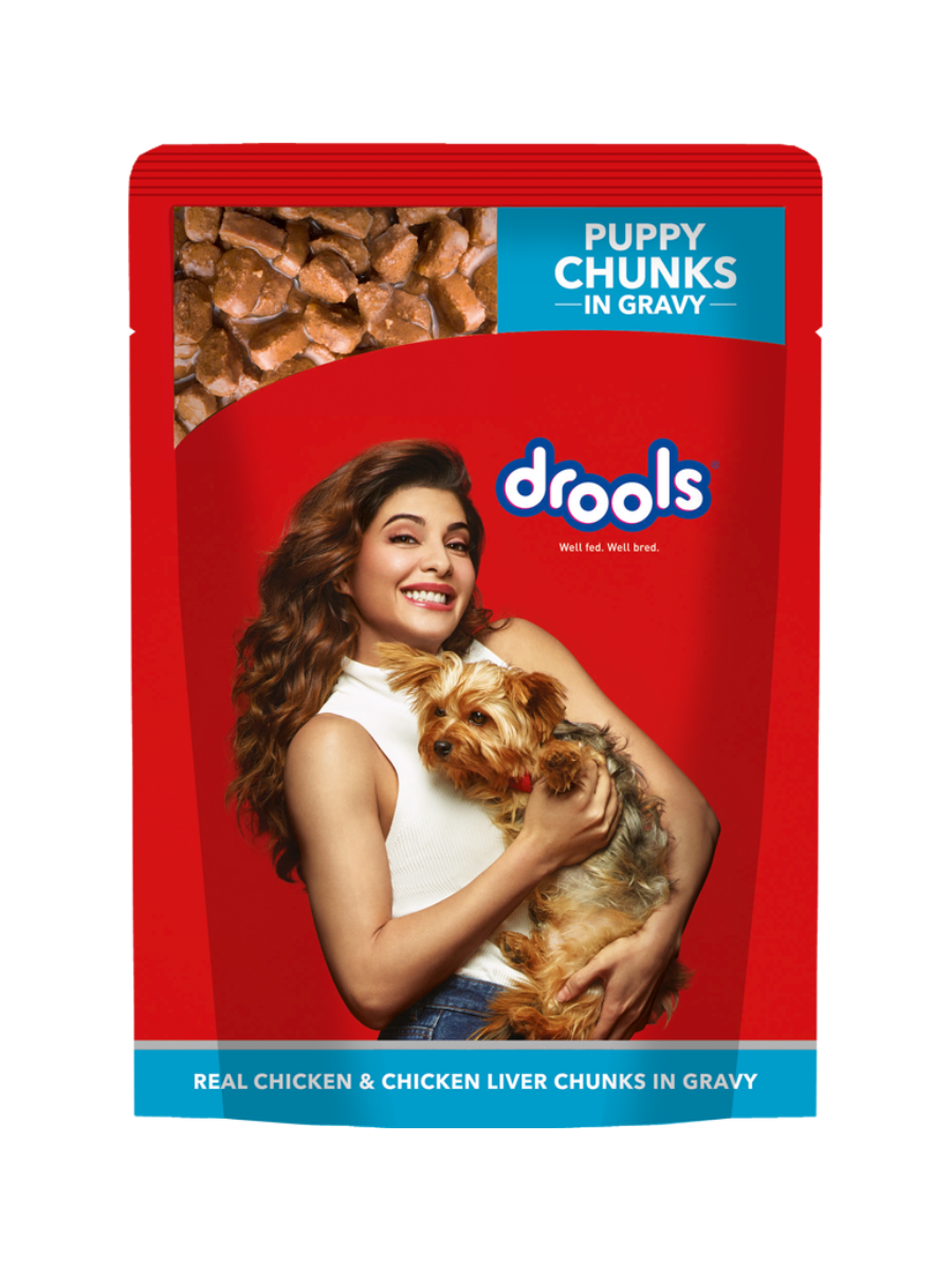 Drools Puppy Chunks in Gravy 150g