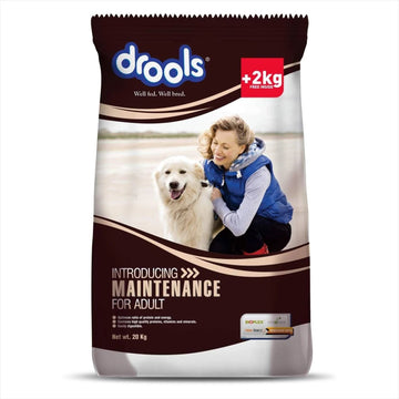 Drools Maintenance Dog Food 20kg