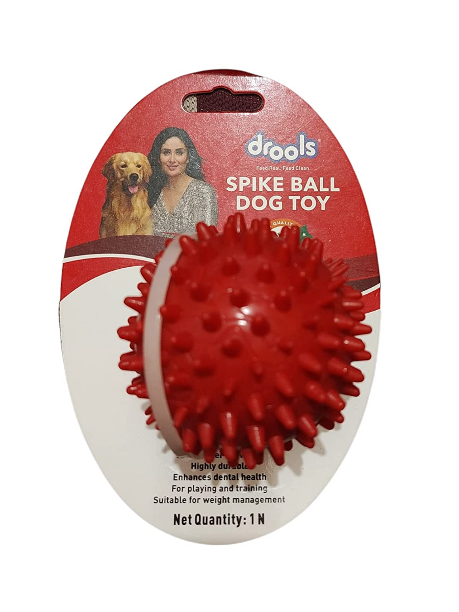 Drools Dog Spike Hard Ball Toy - 3 In