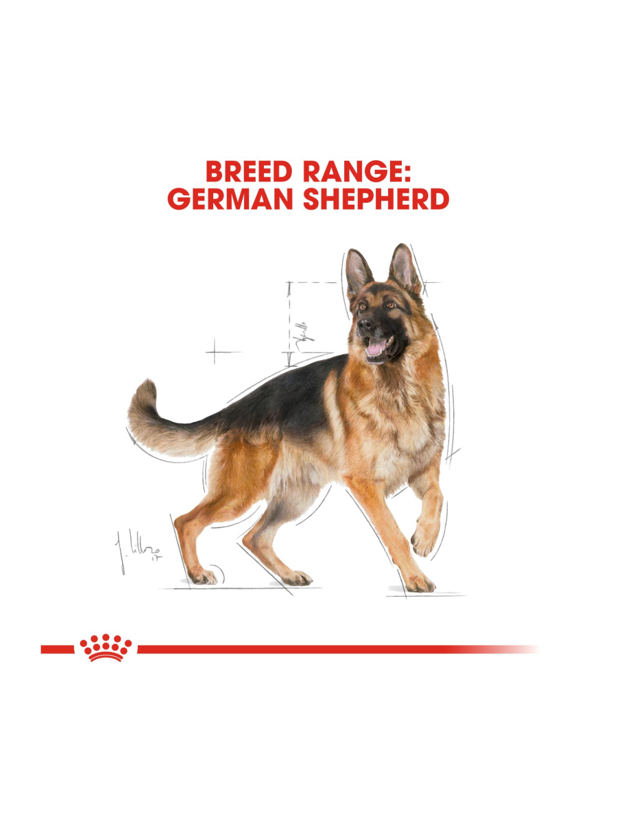 Royal Canin German Shepherd Adult Dry Dog Food 3kg