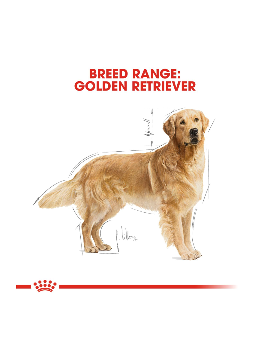 Royal Canin Golden Retriever Adult Dog Dry Food