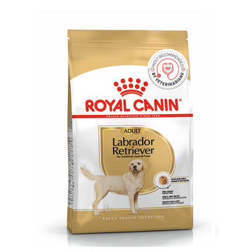 Royal Canin Labrador Retriever Adult Dry Dog Food