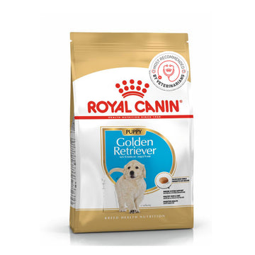 Royal Canin Golden Retriever Junior Dry Puppy Food