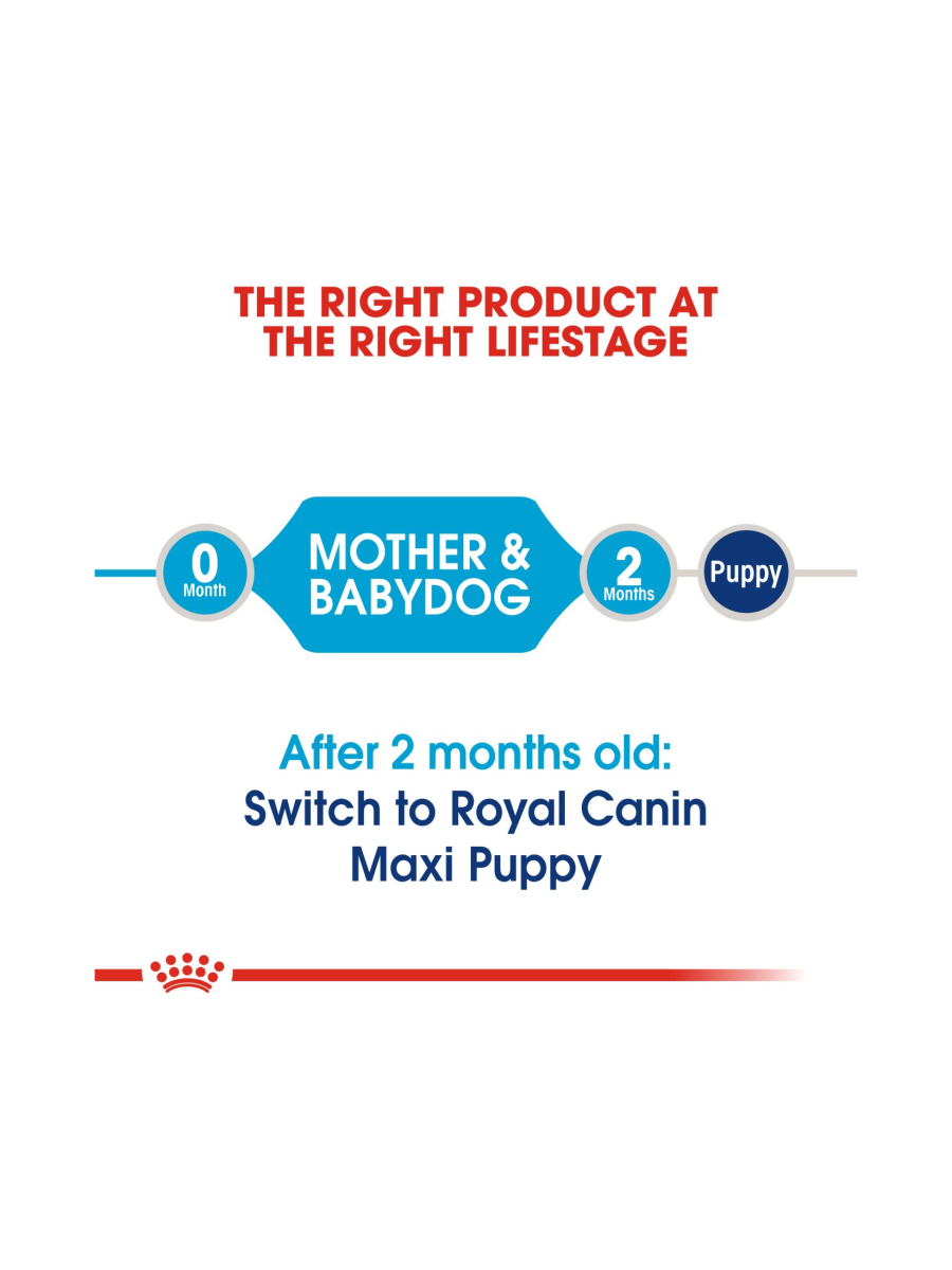 Royal Canin Maxi Starter Dry Dog Food