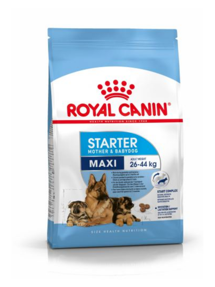 Royal Canin Maxi Starter Dry Dog Food