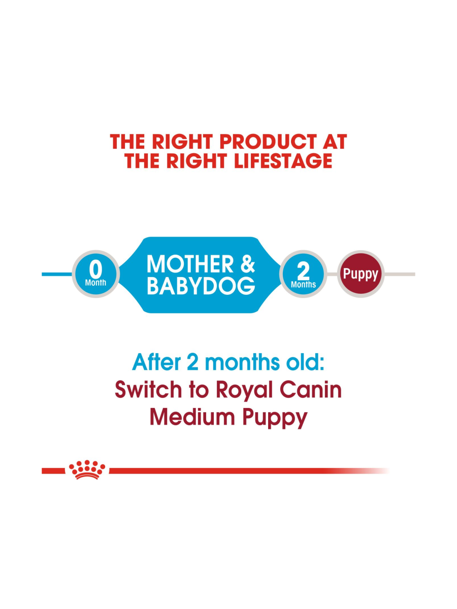 Royal Canin Medium Breed Starter Puppy Food