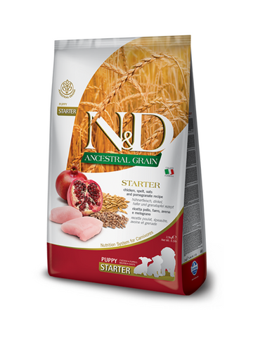 N&D Ancestral (LG) Chicken & Pomegranate Starter Dry Food