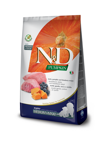N&D Pumpkin (GF) Lamb & Blueberry Puppy Med-Maxi Dry Food